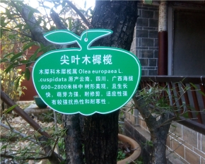 綏陽樹木標牌